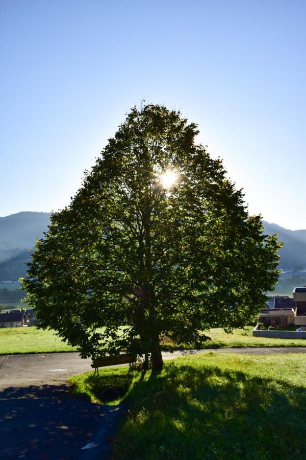 Hutmann Lägenhet Kirchdorf in Tirol Exteriör bild