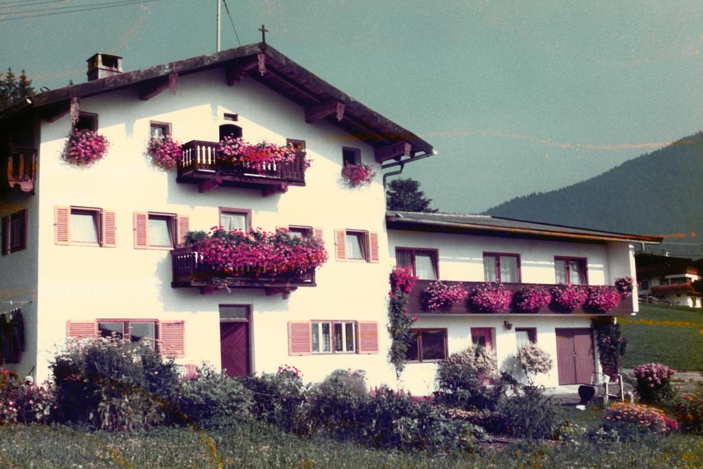 Hutmann Lägenhet Kirchdorf in Tirol Exteriör bild